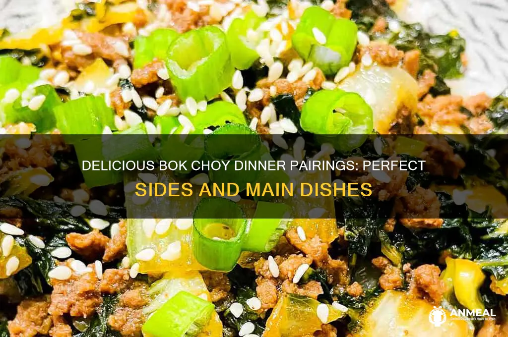 what goes with bok choy for dinner