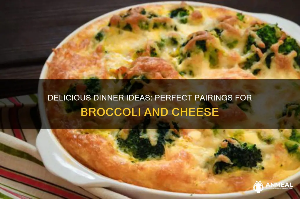 what goes with broccoli and cheese for dinner