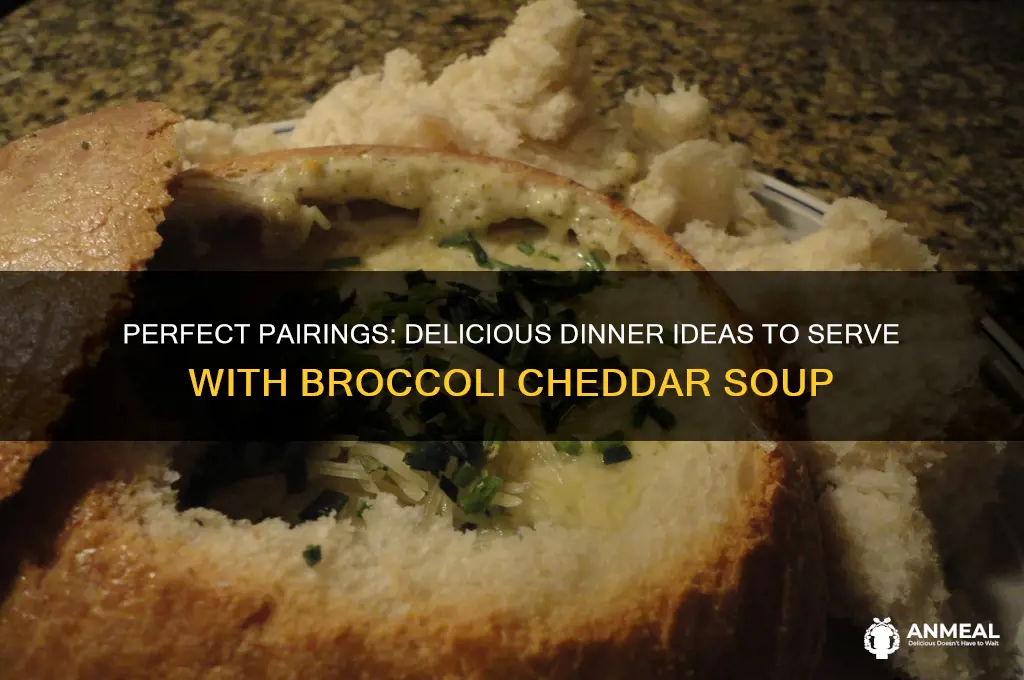 what goes with broccoli cheddar soup for dinner