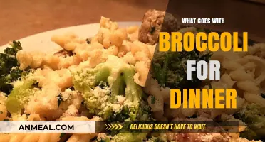 Delicious Dinner Pairings: What to Serve with Broccoli for a Balanced Meal