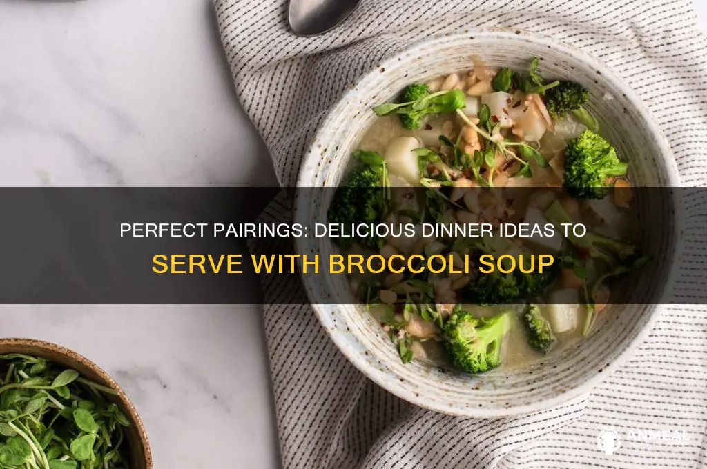 what goes with broccoli soup for dinner