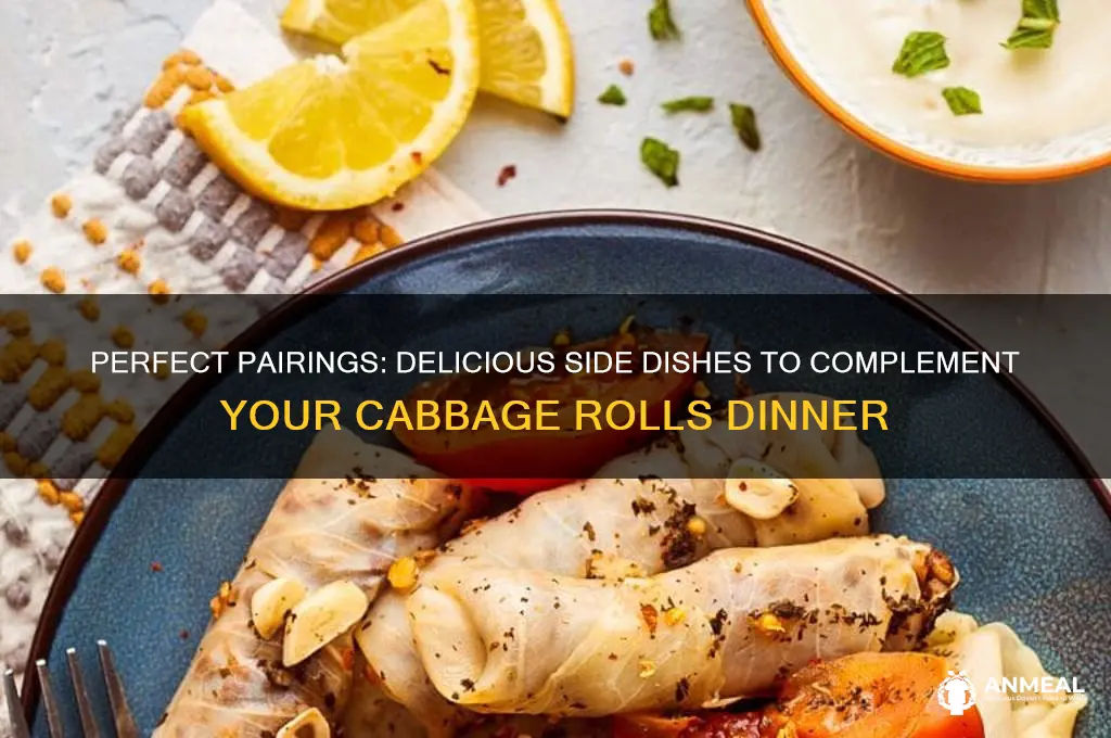 what goes with cabbage rolls for dinner