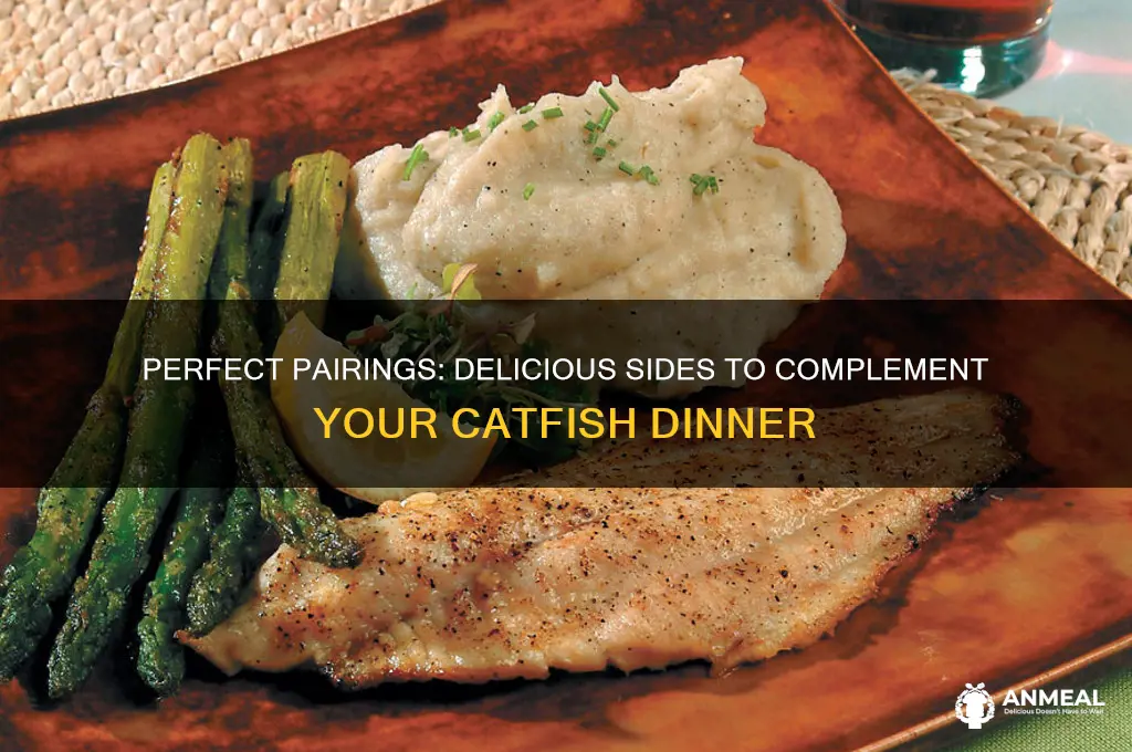 what goes with catfish dinner