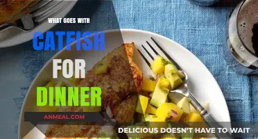 Perfect Catfish Dinner Pairings: Sides, Sauces, and Recipes to Try
