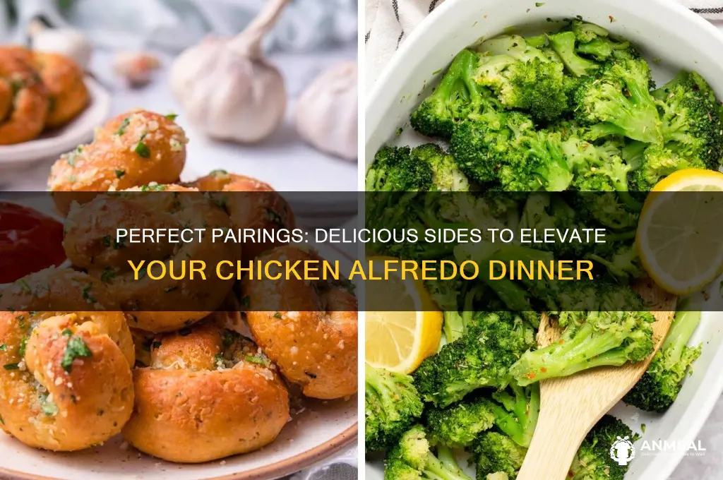 what goes with chicken alfredo dinner