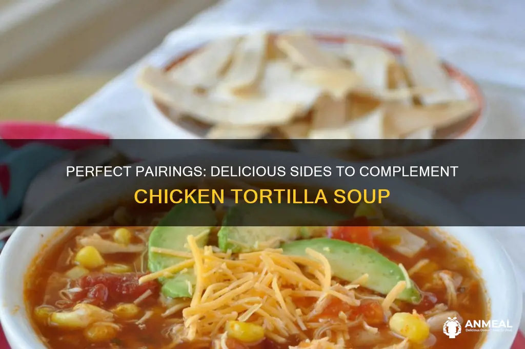 what goes with chicken tortilla soup for dinner