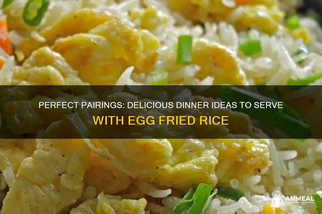 what goes with egg fried rice for dinner