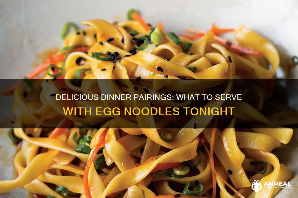 what goes with egg noodles for dinner