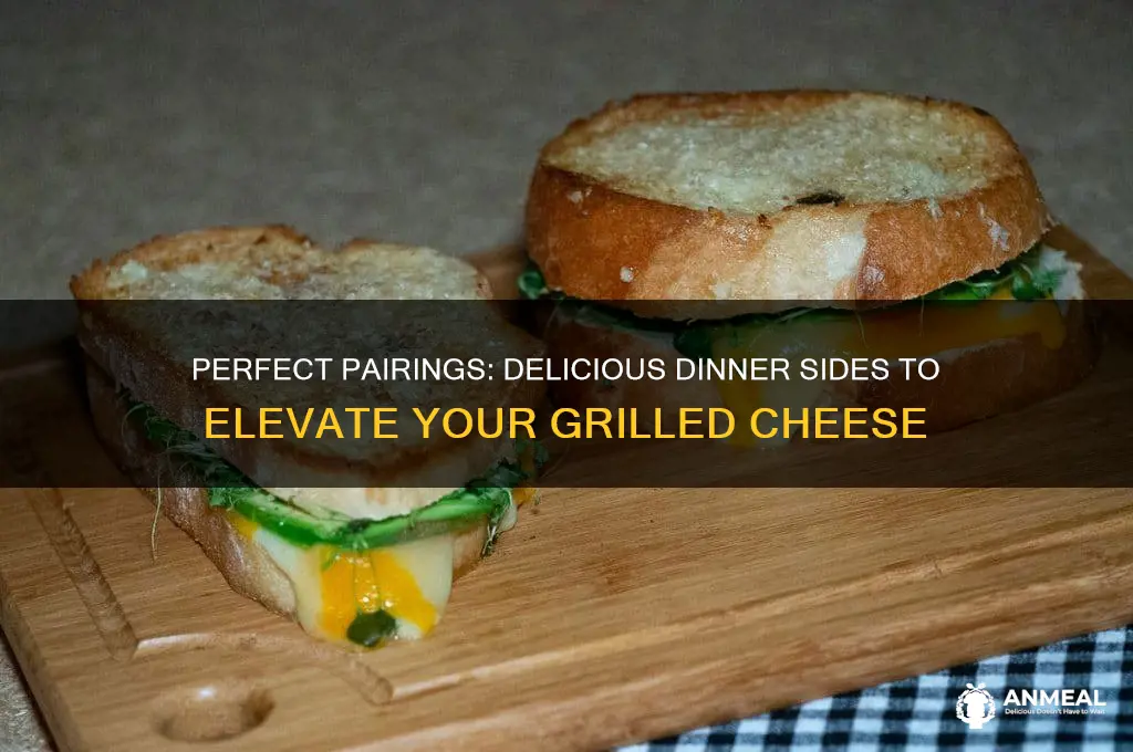 what goes with grilled cheese sandwiches for dinner