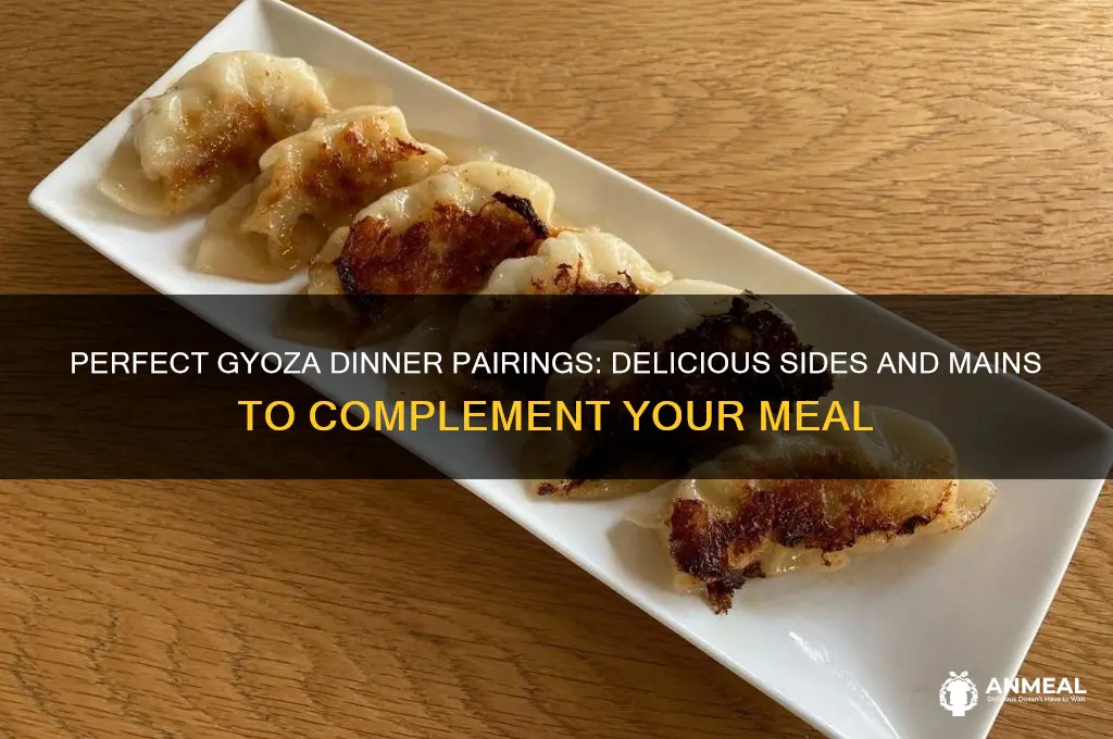 what goes with gyoza for dinner