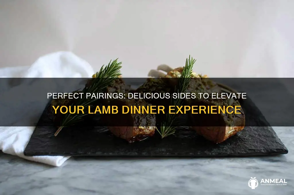 what goes with lamb dinner