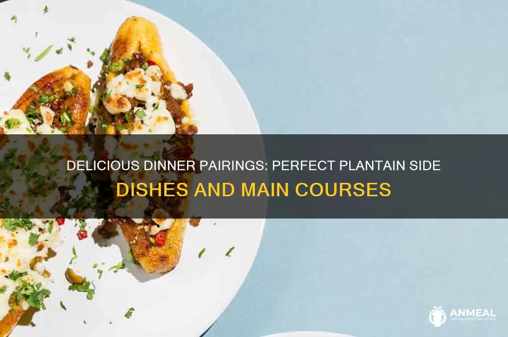 what goes with plantains for dinner