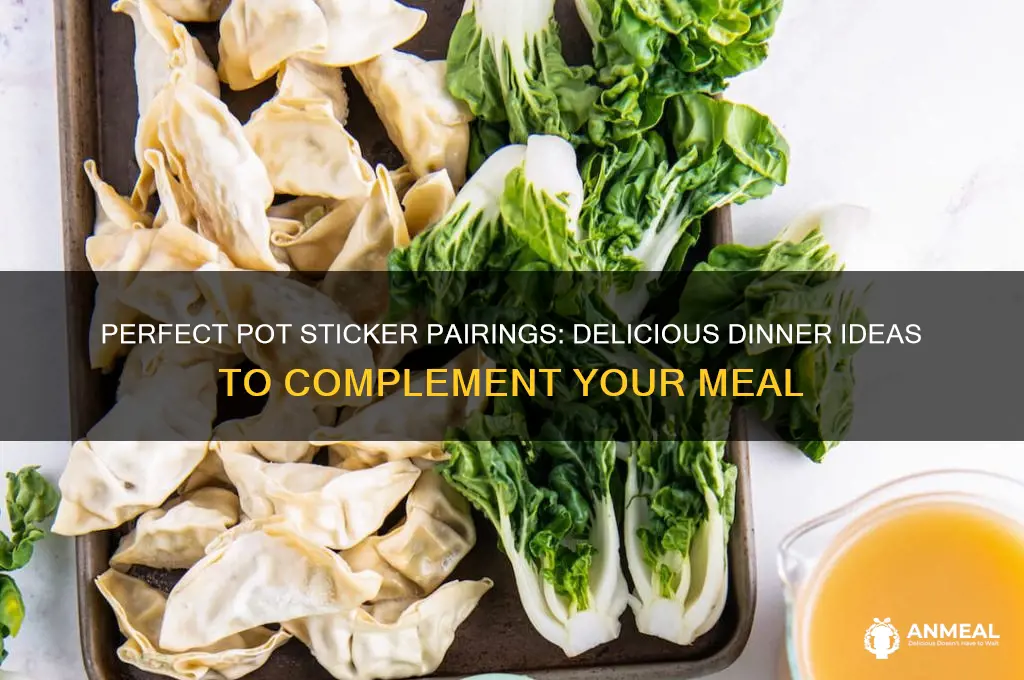 what goes with pot stickers for dinner