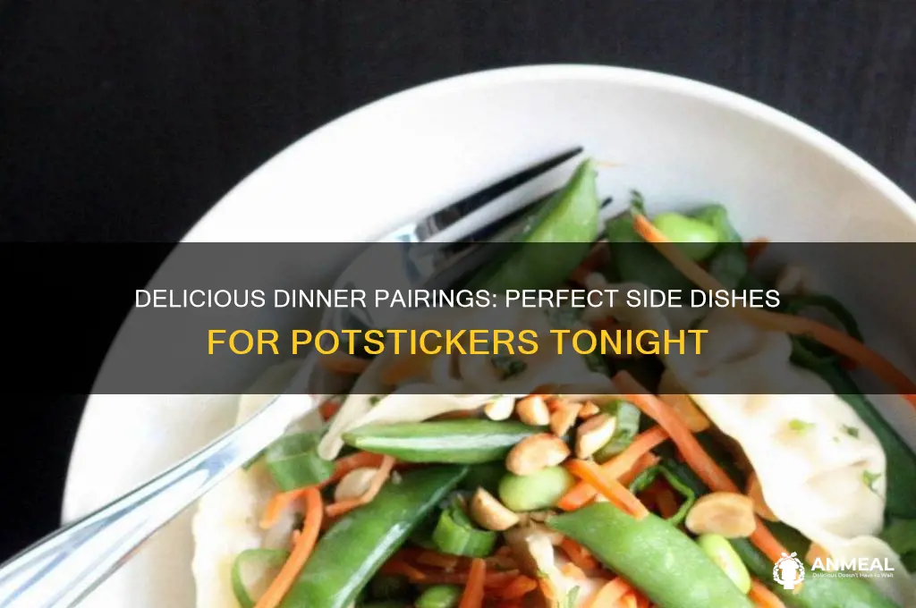 what goes with potstickers for dinner