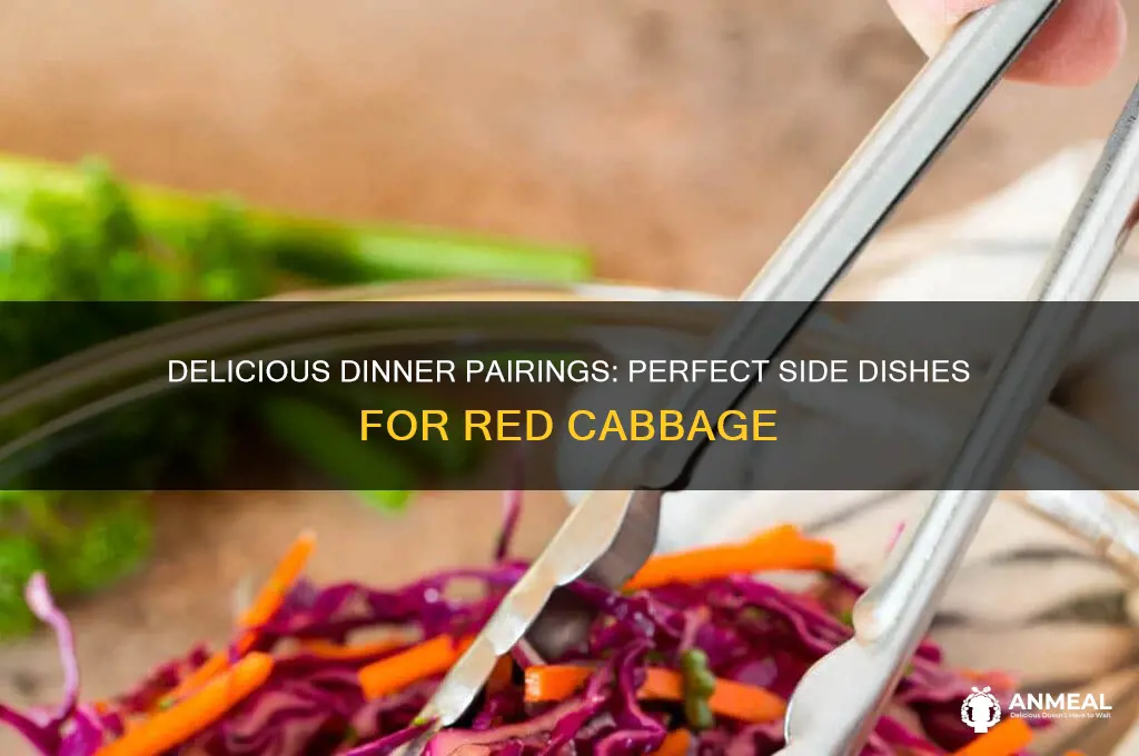 what goes with red cabbage for dinner