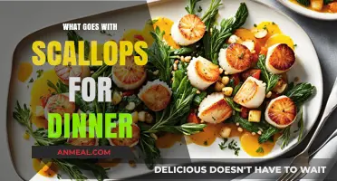 Delicious Scallop Dinner Pairings: Perfect Sides and Sauces to Elevate Your Meal