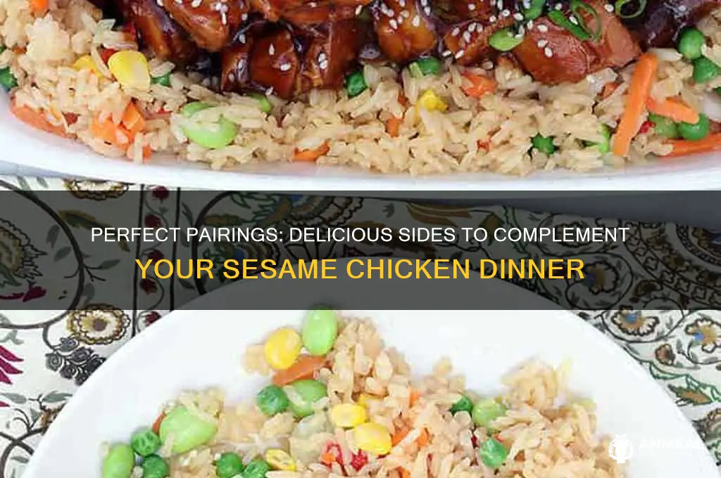 what goes with sesame chicken dinner
