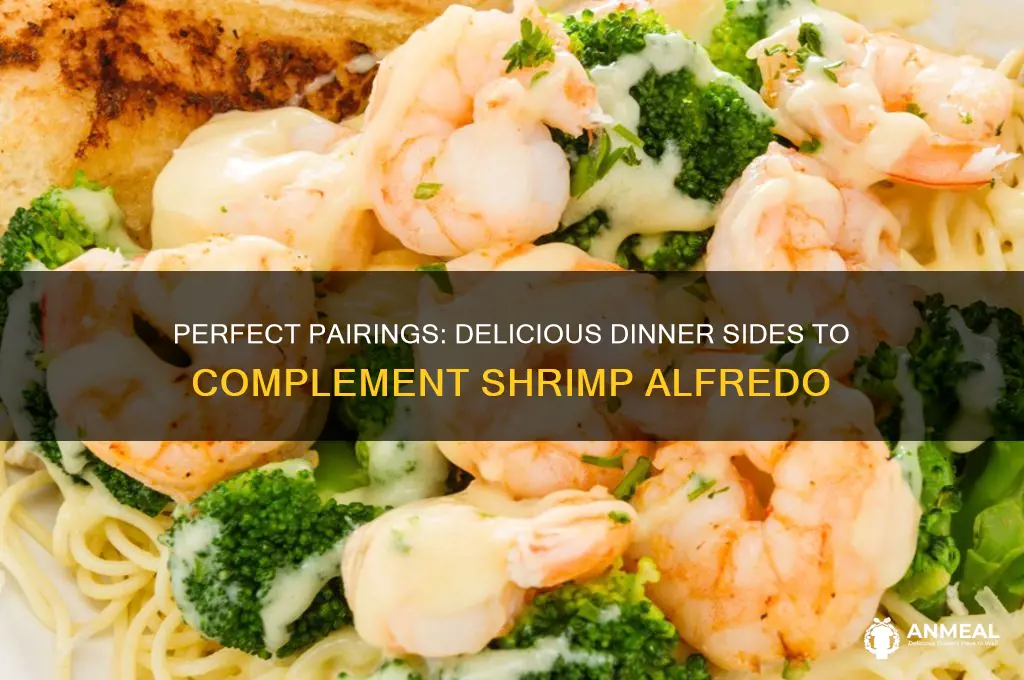 what goes with shrimp alfredo for dinner