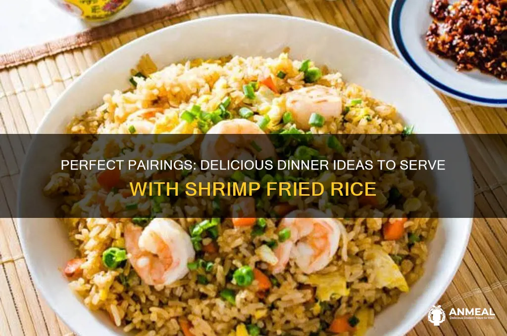 what goes with shrimp fried rice for dinner