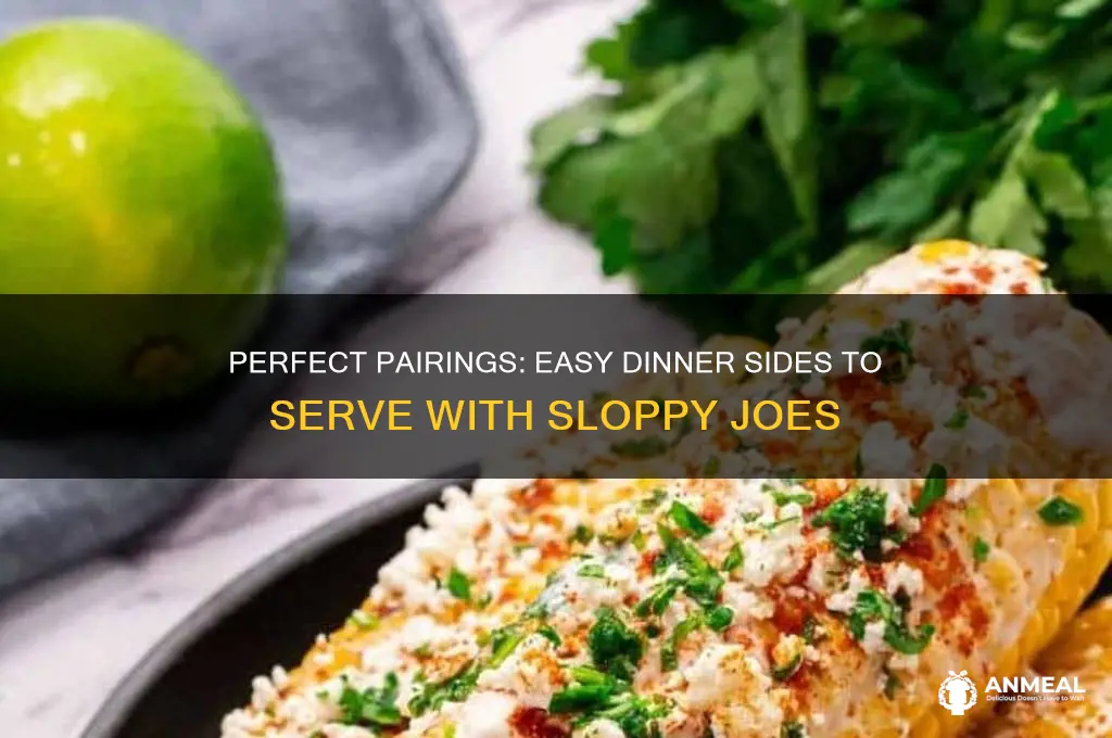 what goes with sloppy joes for dinner easy