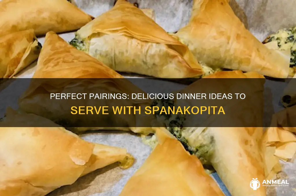 what goes with spanakopita for dinner