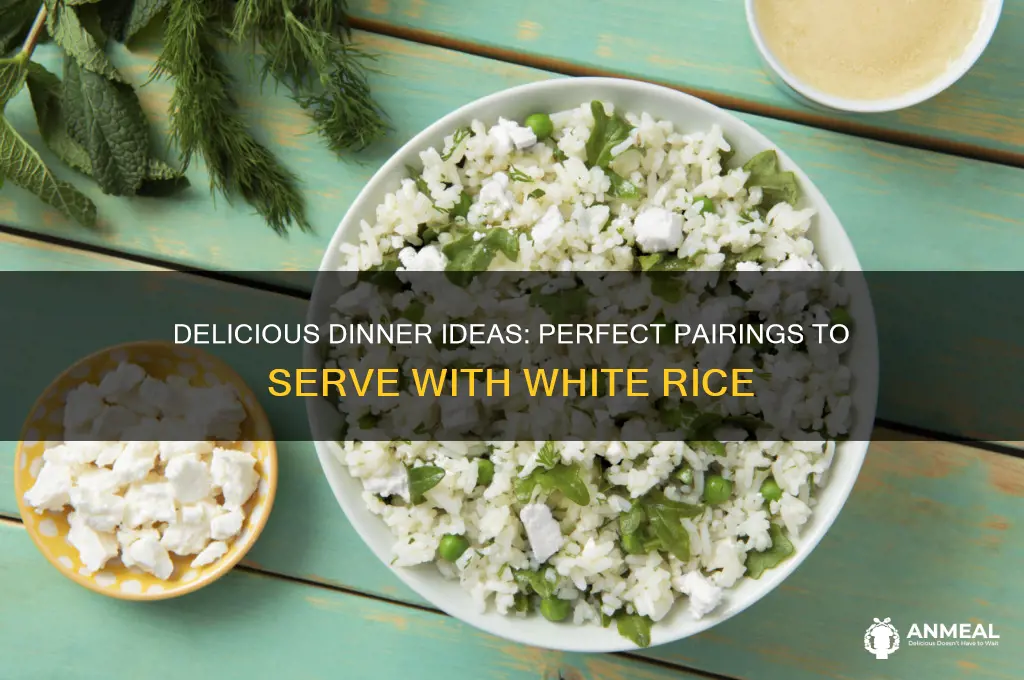 what goes with white rice for dinner