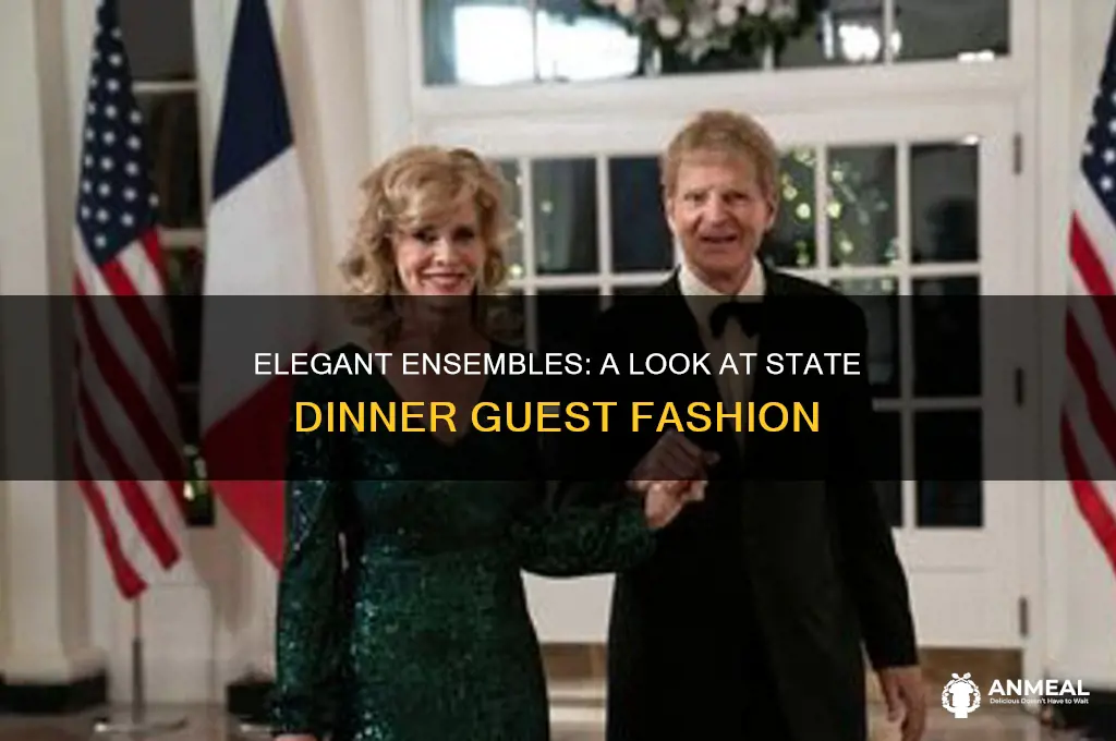 what guests wore to the state dinner