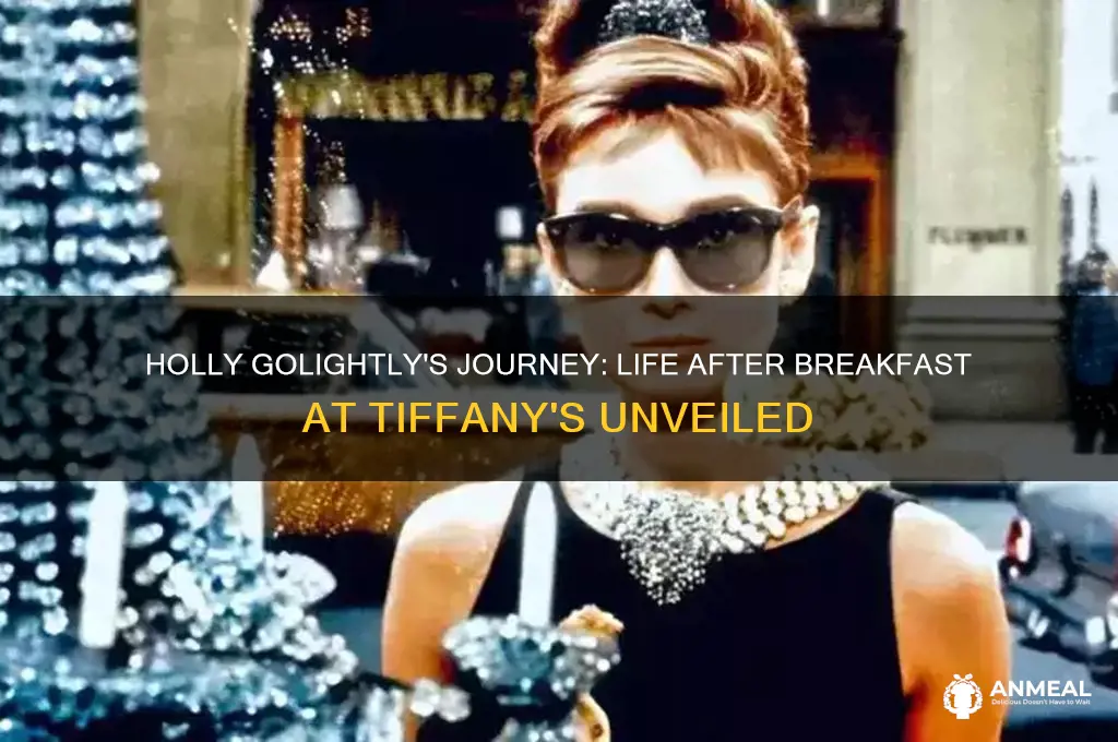 what happed to holly golightly after breakfast at tiffanys