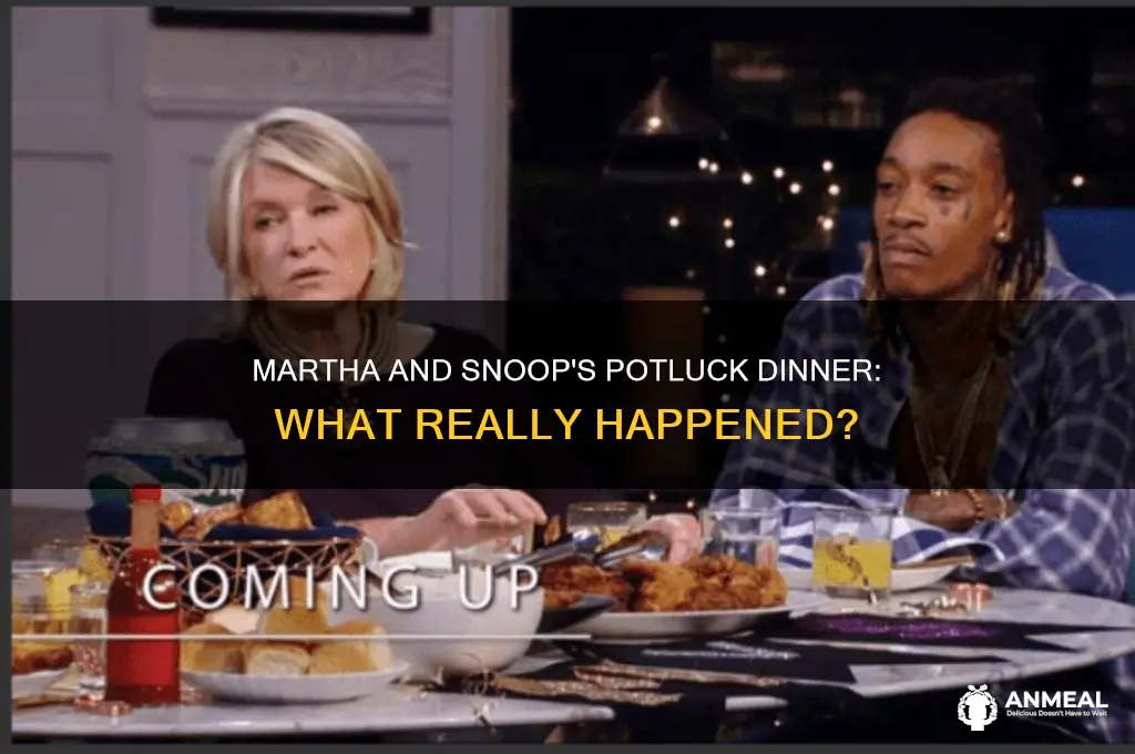 what happen to martha and snoop poluck dinner