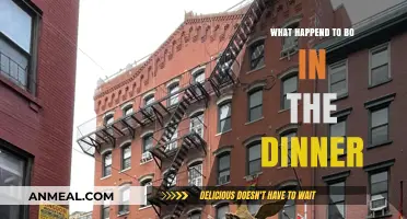 The Mysterious Disappearance of Bo During the Dinner Party