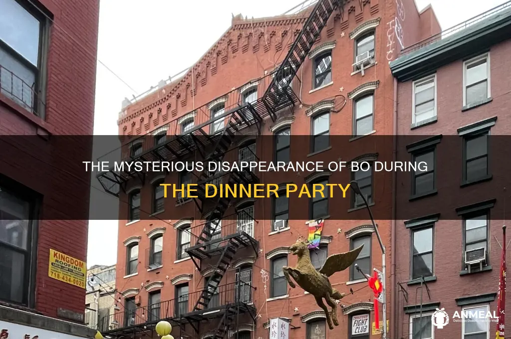what happend to bo in the dinner
