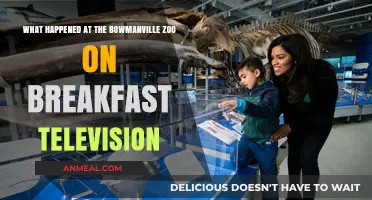 Bowmanville Zoo's Breakfast TV Appearance: What Really Happened?