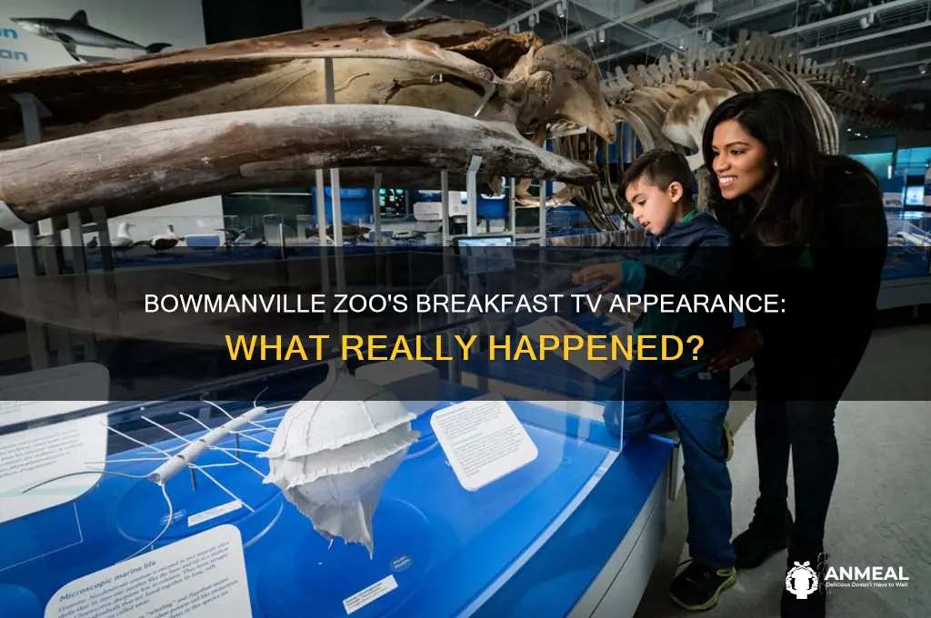 what happened at the bowmanville zoo on breakfast television