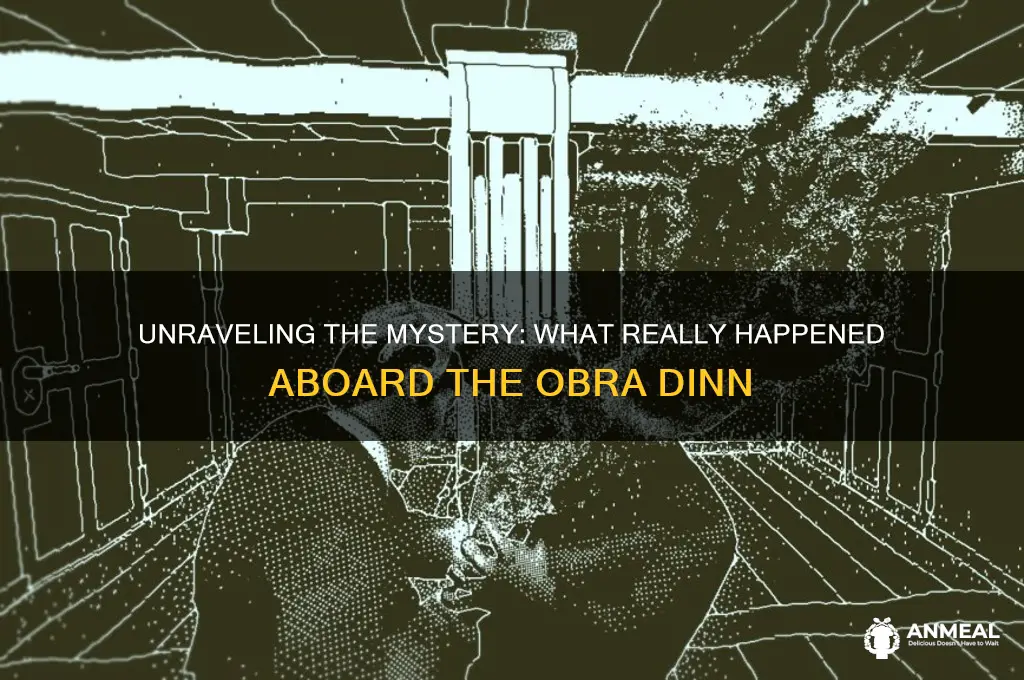 what happened in the obra dinn