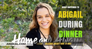 Abigail's Dinner Disappearance: Unraveling the Mystery of Her Absence