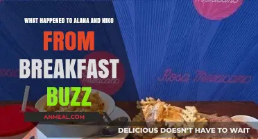 Breakfast Buzz Update: Alana and Niko's Unexpected Journey Post-Show