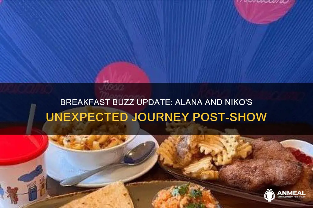 what happened to alana and niko from breakfast buzz