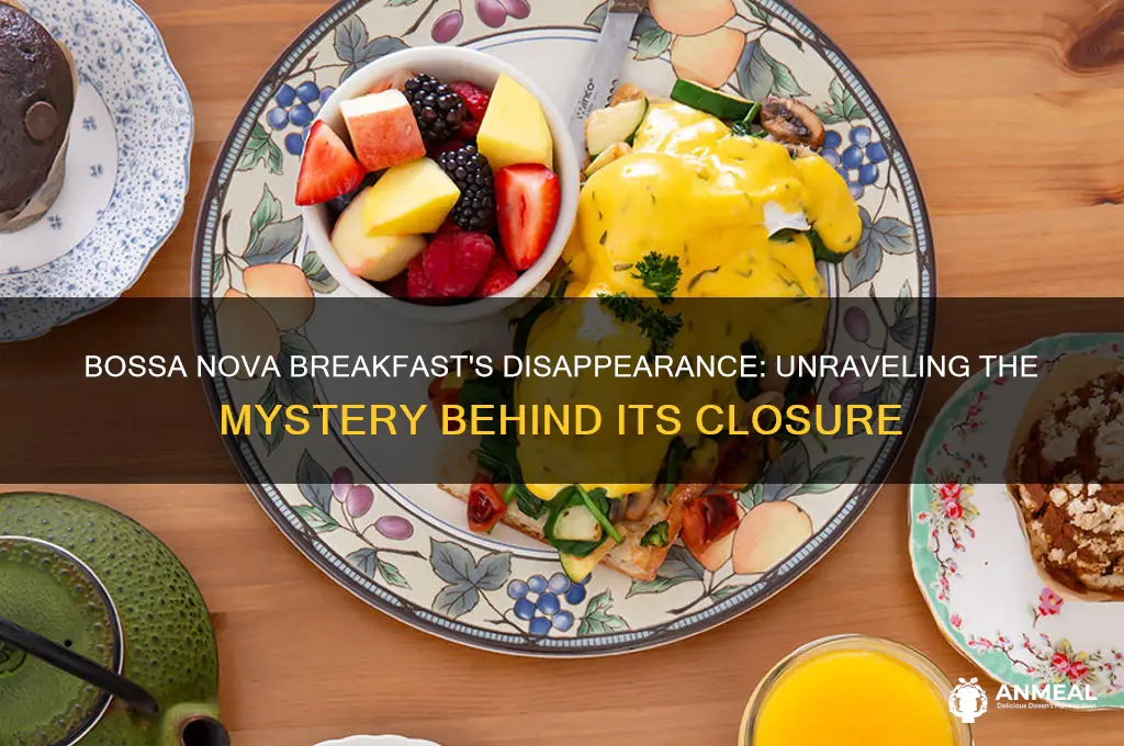 what happened to bossa nova breakfast