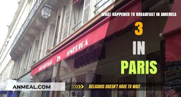 Breakfast in America 3: The Paris Chapter's Unexpected Journey