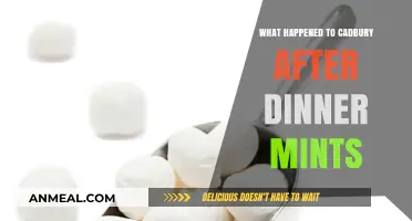 Cadbury After Dinner Mints Discontinued: What Happened to the Classic Treat?