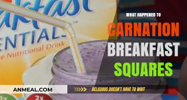 Carnation Breakfast Squares: The Rise, Fall, and Mystery Disappearance