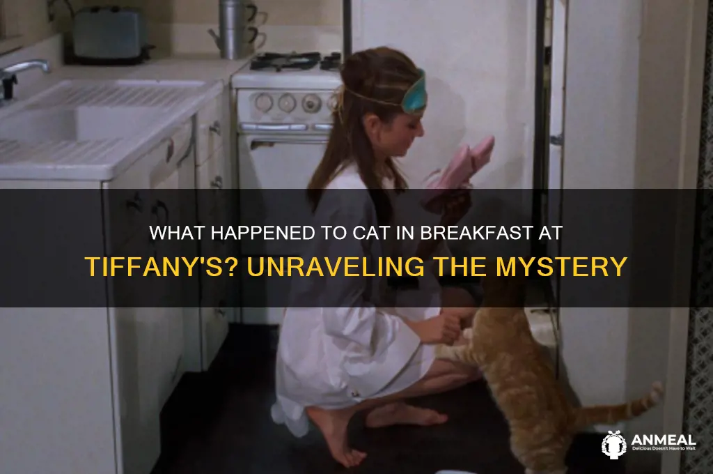 what happened to cat in breakfast at tiffany