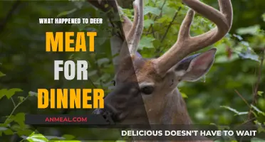 Deer Meat for Dinner: The Sudden Disappearance Explained