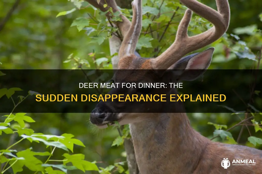 what happened to deer meat for dinner