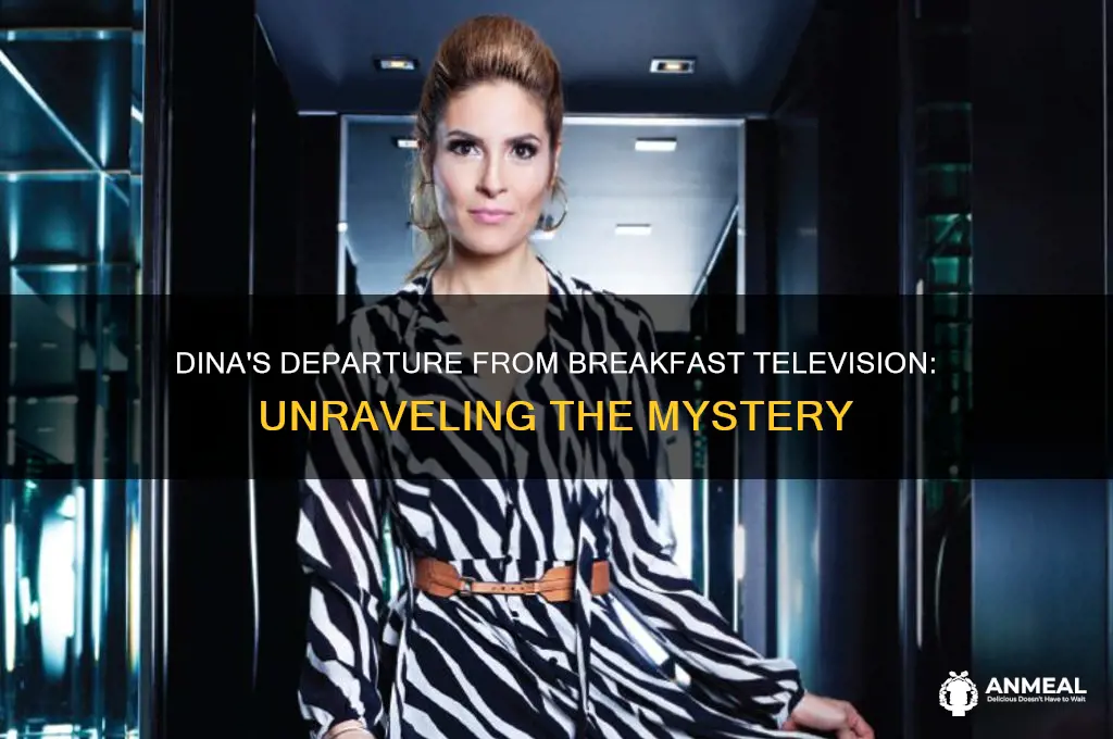 what happened to dina on breakfast television