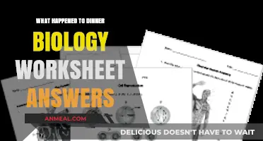 Unraveling the Mystery: Dinner Biology Worksheet Answers Explained