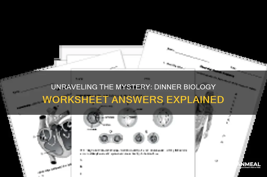 what happened to dinner biology worksheet answers