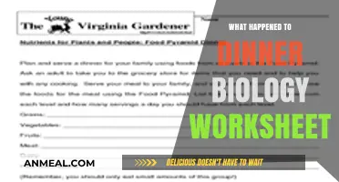 What Happened to the Dinner Biology Worksheet? A Mystery Unraveled