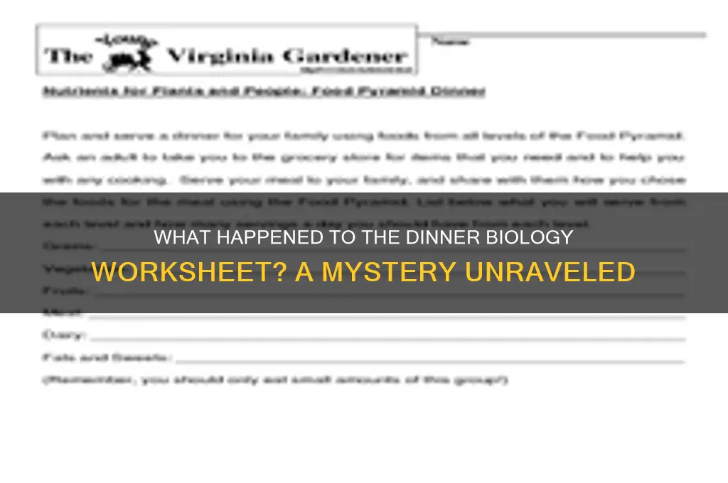 what happened to dinner biology worksheet