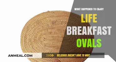 Enjoy Life Breakfast Ovals Discontinued: What Happened to the Beloved Snack?
